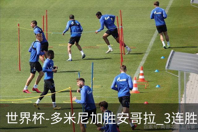 世界杯-多米尼加胜安哥拉 3连胜小组第一晋级