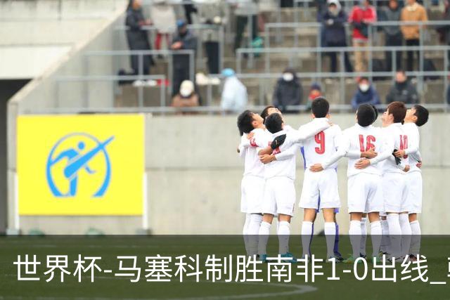 世界杯-马塞科制胜南非1-0出线 韩国积3分获小组第三待定