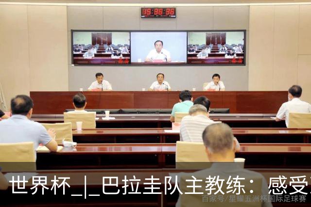 世界杯 | 巴拉圭队主教练：感受到比赛的极致压力
