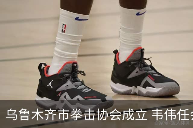 乌鲁木齐市拳击协会成立 韦伟任会长