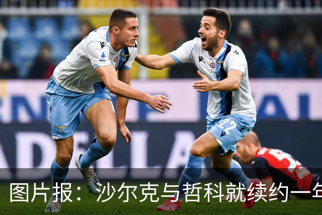 图片报：沙尔克与哲科就续约一年达成一致，年薪最高可达130万欧