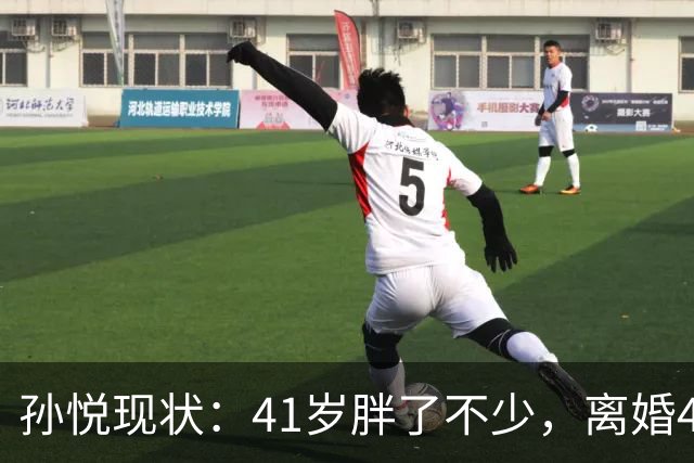 孙悦现状：41岁胖了不少，离婚4年还是单身，一双儿女越长越像他