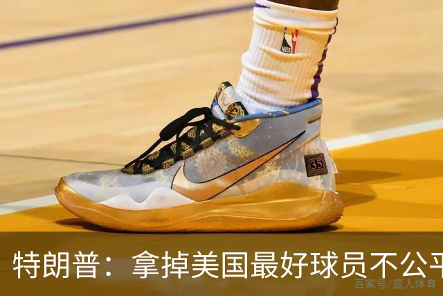特朗普：拿掉美国最好球员不公平 只要求复核无关决定